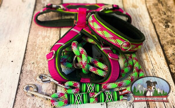 Gurtband Halsband PREMIUM