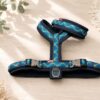 Gurtband Y-Geschirr PREMIUM