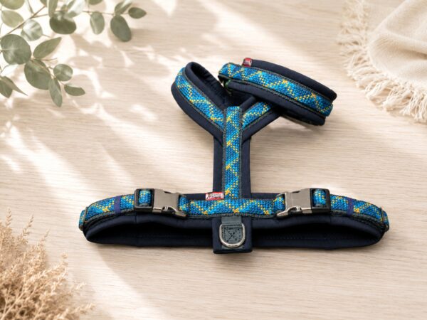 Gurtband Y-Geschirr PREMIUM
