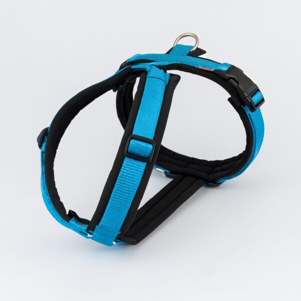 Gurtband Y-Geschirr ONLY