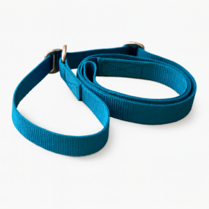 Gurtband AG-Leine (2in1)