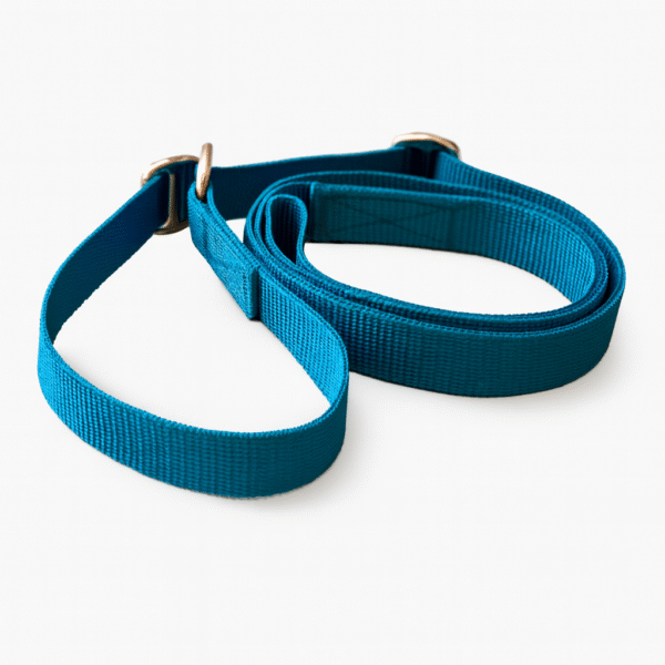 Gurtband AG-Leine (2in1)