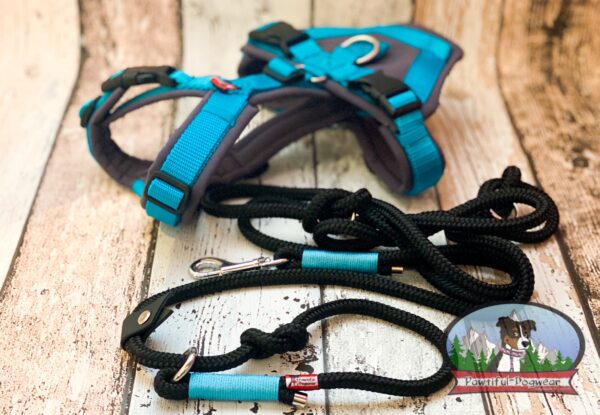 Gurtband Y-Geschirr ONLY