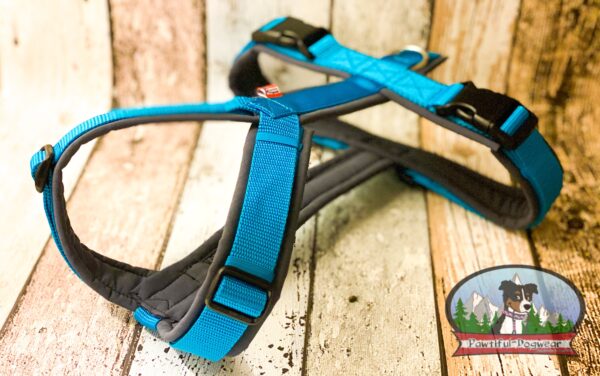 Gurtband Y-Geschirr ONLY