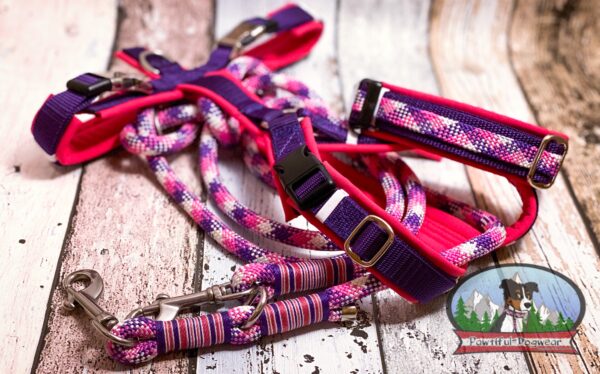 Gurtband Y-Geschirr PREMIUM