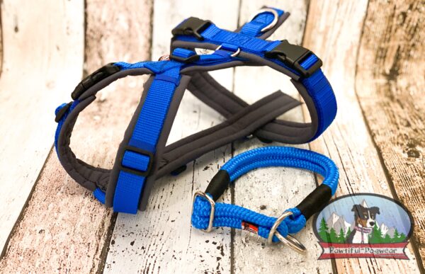 Gurtband Y-Geschirr ONLY