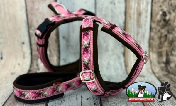 Gurtband Y-Geschirr PREMIUM