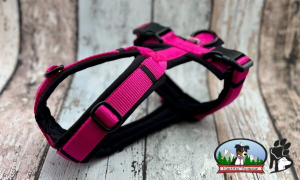 Gurtband Y-Geschirr ONLY