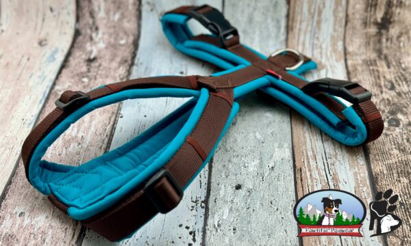 Gurtband Y-Geschirr ONLY
