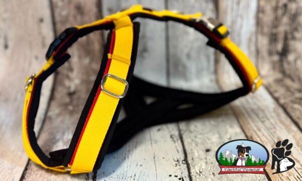 Gurtband Y-Geschirr ONLY