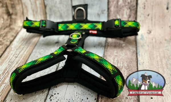 Gurtband Y-Geschirr PREMIUM