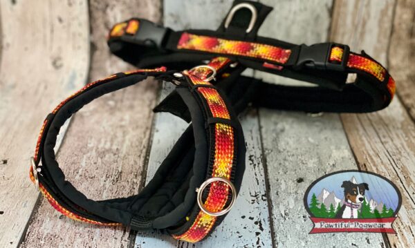 Gurtband Y-Geschirr PREMIUM