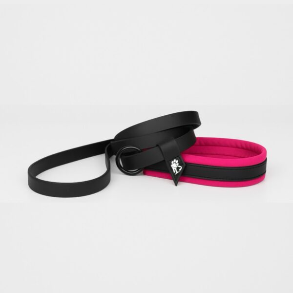 A5B90332-CAB9-43AC-B287-CC29E3D9198D Biothane AG-Leine (2in1)