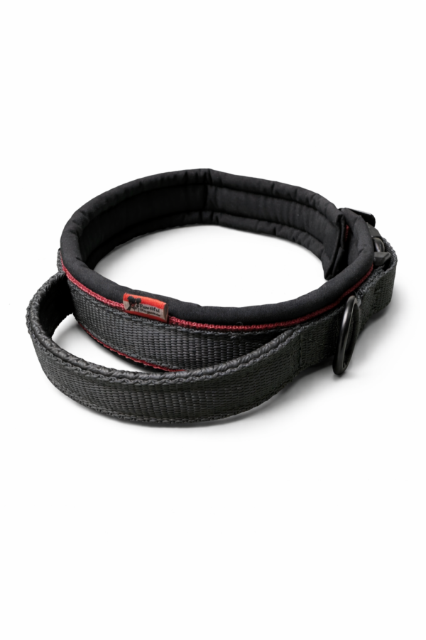 Gurtband Halsband TWICE