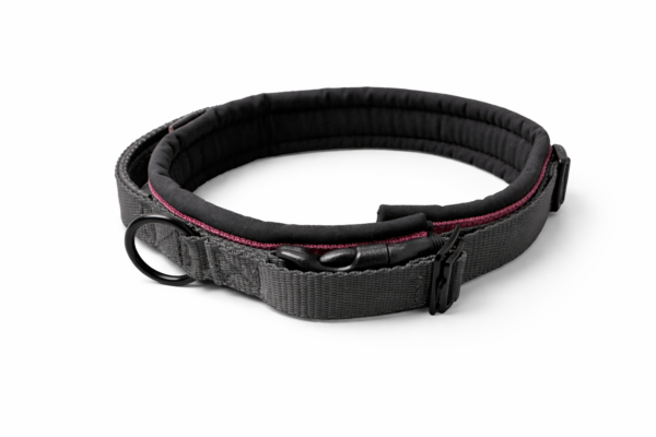 Gurtband Halsband TWICE